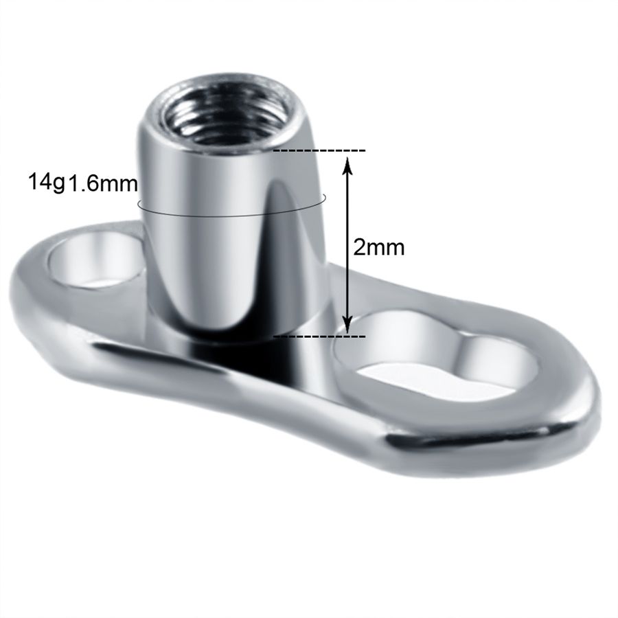 10 قطعة/الوحدة G23 التيتانيوم  - مراجعة Dermal Anchor Top وسعره